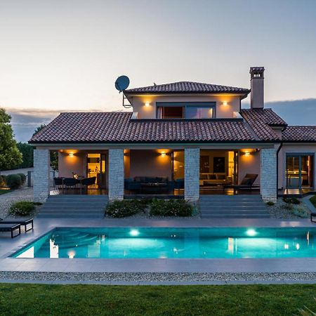 Villa Labin In Zartinj - Luxury Privacy Heated Pool With Auto Cover エクステリア 写真